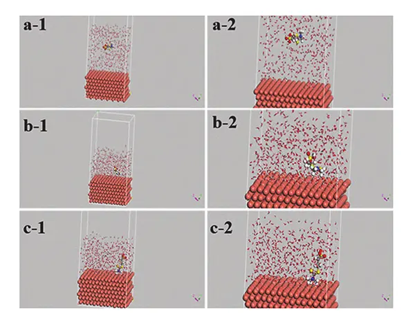 Figure 6 Snapshots of DPS in the simulation box at 0 ps (a), 5 ps (b), and 100 ps (c), showing the overall view (left) and a locally enlarged view (right) of the molecular configuration