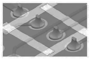 Figure 1. Local removal area