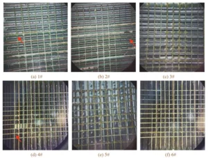 Figure 11 Appearance of different specimens after 3 000 h of alternating temperature and humidity test and cross cut test