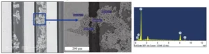 Figure 4 Microscopic morphology and energy dispersive spectrum of dendrites