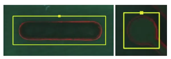 Figure 4 Use of alternative shapes for the Mark